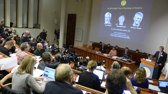 2014 Nobel Prize in Physiology and Medicine awarded to 3 Norwegian and American scientists - ảnh 1